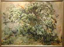 砂丘館・クリップ 椎の木を描いた画家 保多棟人展