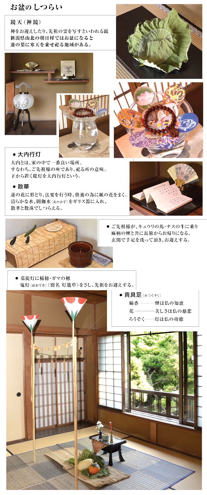 ���~�̂��炢�^���V�i�_���j�^����s���^�U�؁^�v�