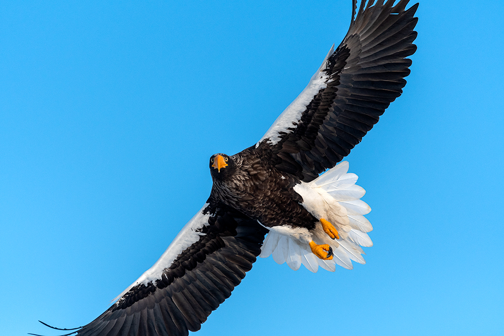 ラッセル・ジェンキンス写真展　“20 Light Years”の画像