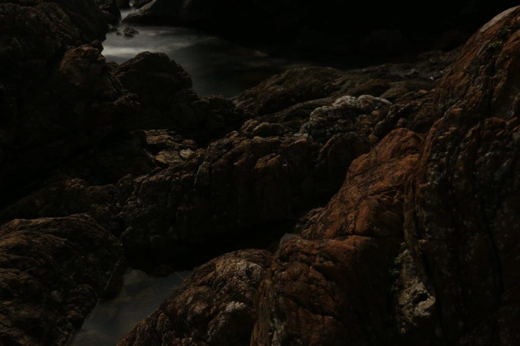 中里和人　ギャラリートーク「URASHIMA-夜、海、気配」【終了しました】の画像