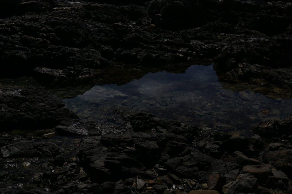 中里和人さんが在廊されます。【終了しました】の画像